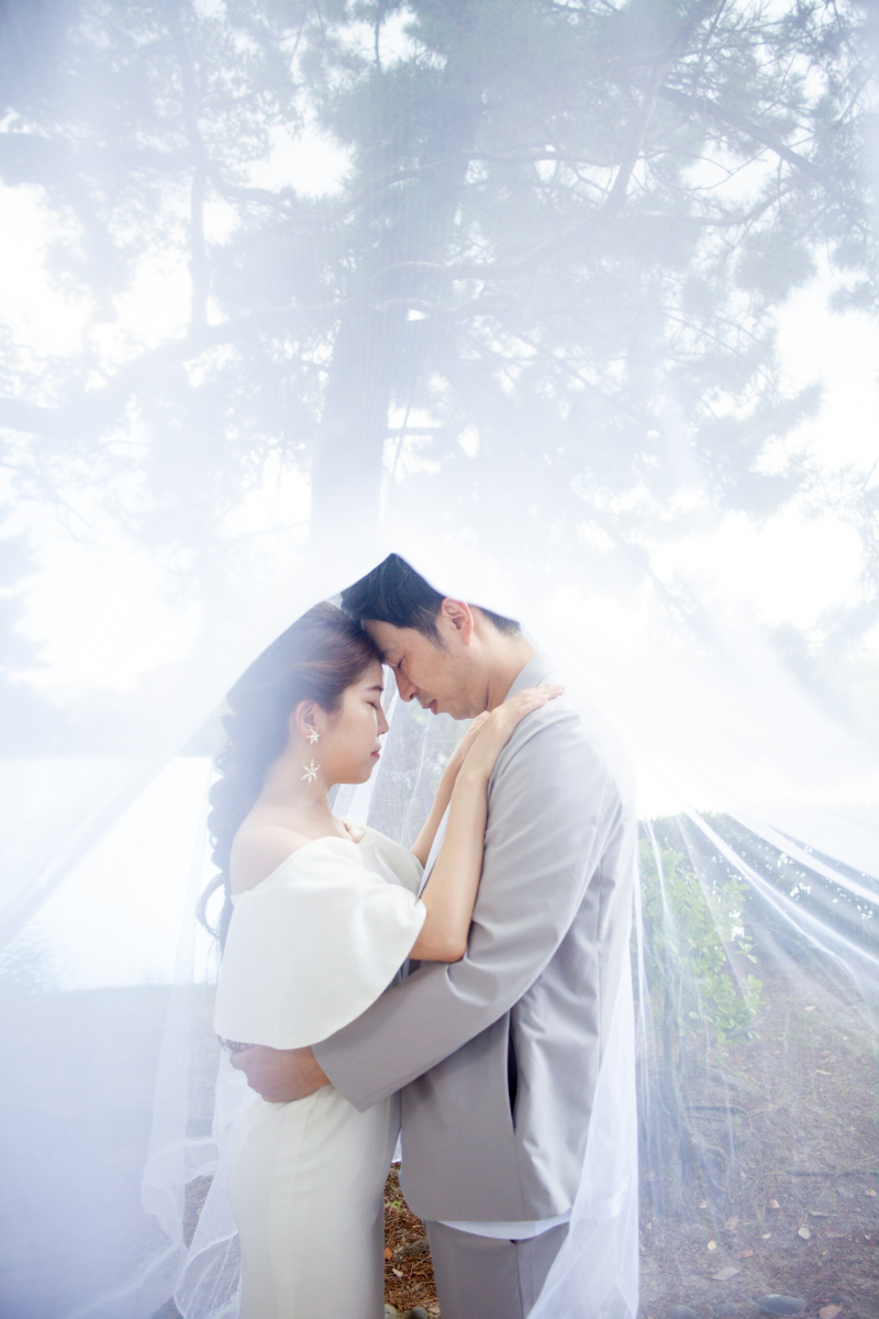 光の中で、誓わずに