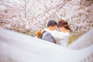 STARLILY ORIGINAL（スターリリー オリジナル）_森・公園