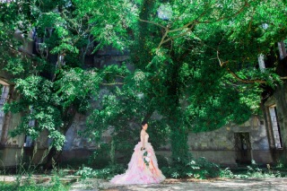 STARLILY ORIGINAL（スターリリー オリジナル）_森・公園