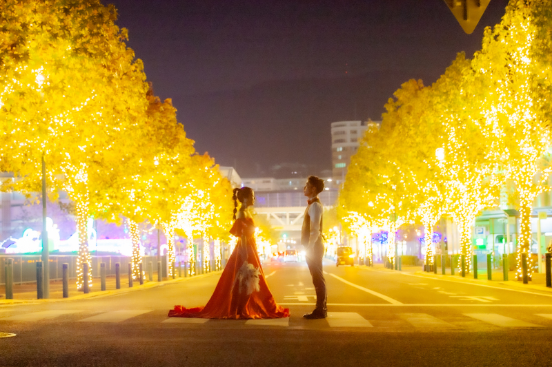 【5月まで限定】結婚式場貸出30万円以上のドレス2着【無料貸出】 チャペルフォトプラン＋ヘアメイク｜全100データ付き