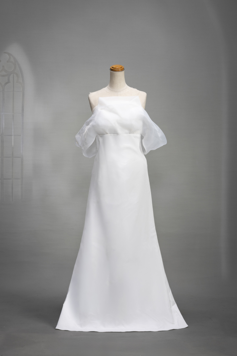 チュール袖ドレス