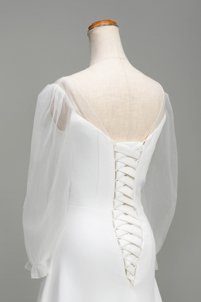 シースルー袖ドレス