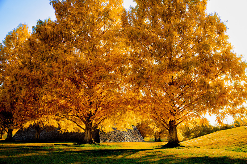20以上ある撮影シーン