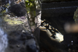 Rikure(リクレ)_所沢・花田苑・城ヶ島・東京駅