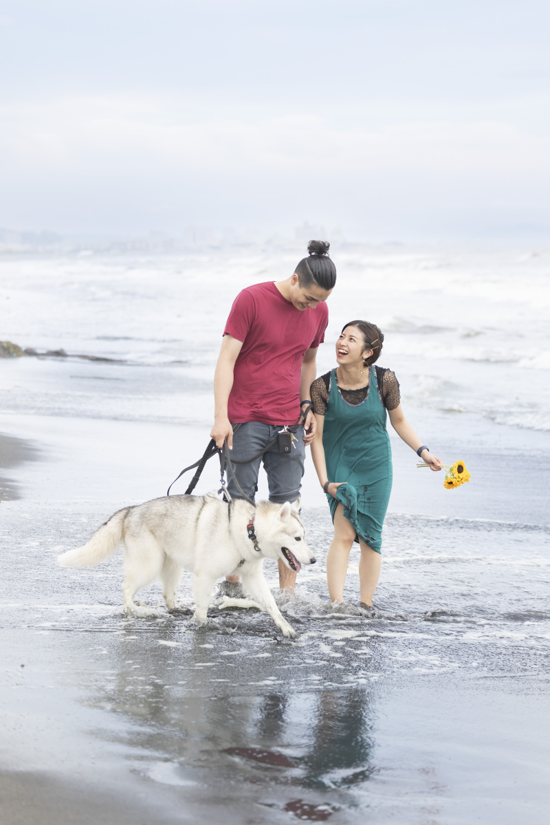 ペットとの写真撮影も追加料金は発生いたしません