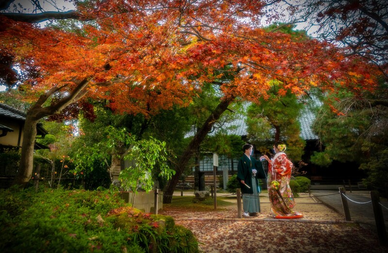 光を自在に操り、被写体だけでなく紅葉の木々にも丁寧にライティングを施すことで、立体感と深みのある一枚に仕上げました。コントラストと色彩が豊かに調和した、絵画のような表現を得意としています。