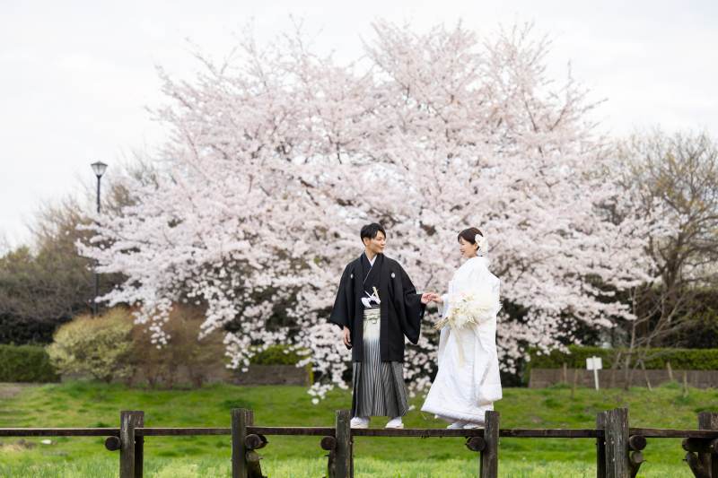【4月上旬までに撮影の方限定】桜ロケプラン⭐︎写真全データ・特急納品付き⭐︎特別価格100,000円！【東京都内・埼玉県内】