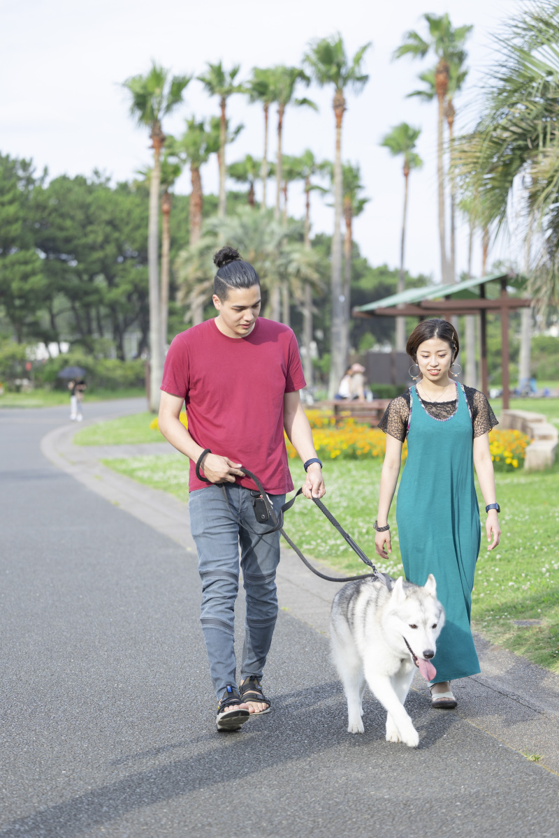 【大切なペットと一緒に撮影！】公園でナチュラルなお写真を⭐︎写真全データ・特急納品付き⭐︎【東京・埼玉のお好きな公園で撮影】