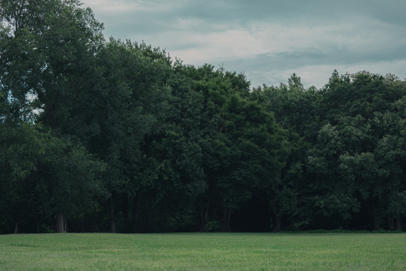 【Photorait限定】埼玉県内|公園撮影プラン|写真