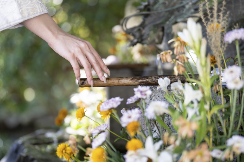 寺院・神社で撮影!ロケーションプラン|写真全データ|映像付き