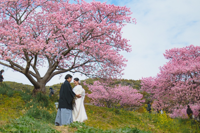 桜の木とふたりで