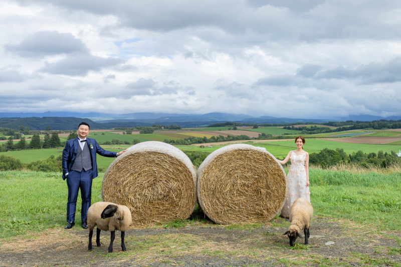 羊ちゃんに会いに