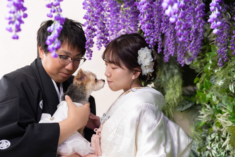 藤の木の下で＾＾