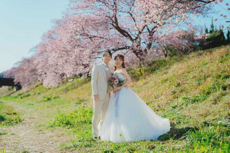 鮮やかな桜と菜の花が美しい河津ロケーション