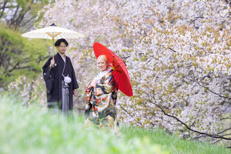 桜!