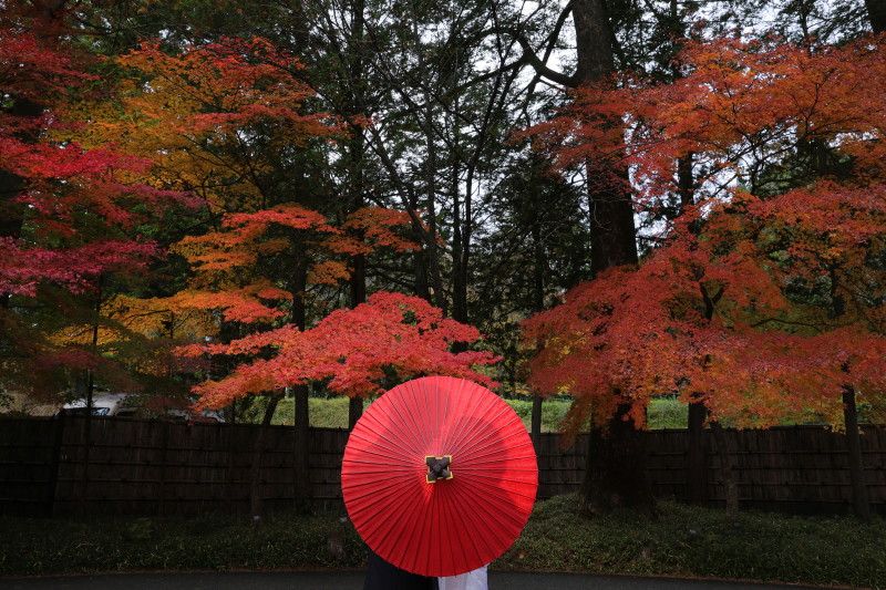傘と紅葉