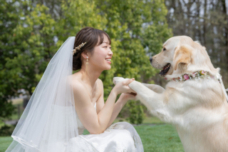 愛犬と残すウエディングフォト