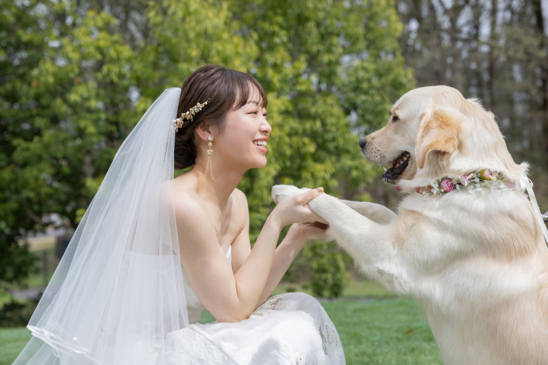 愛犬と残すウエディングフォト