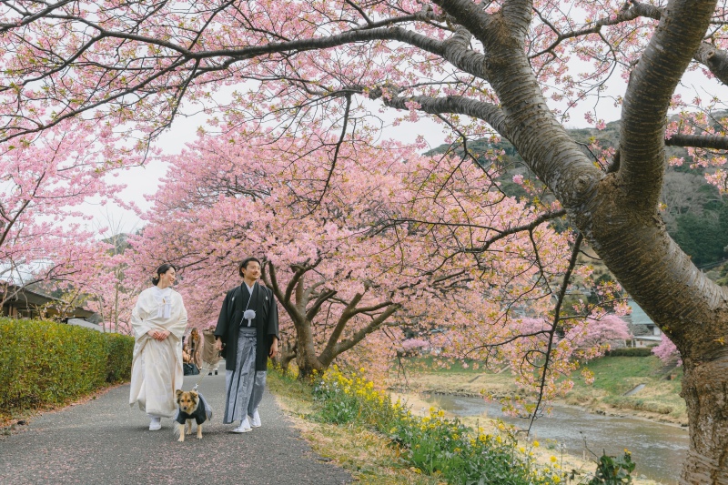 桜の中のウェディングフォト！