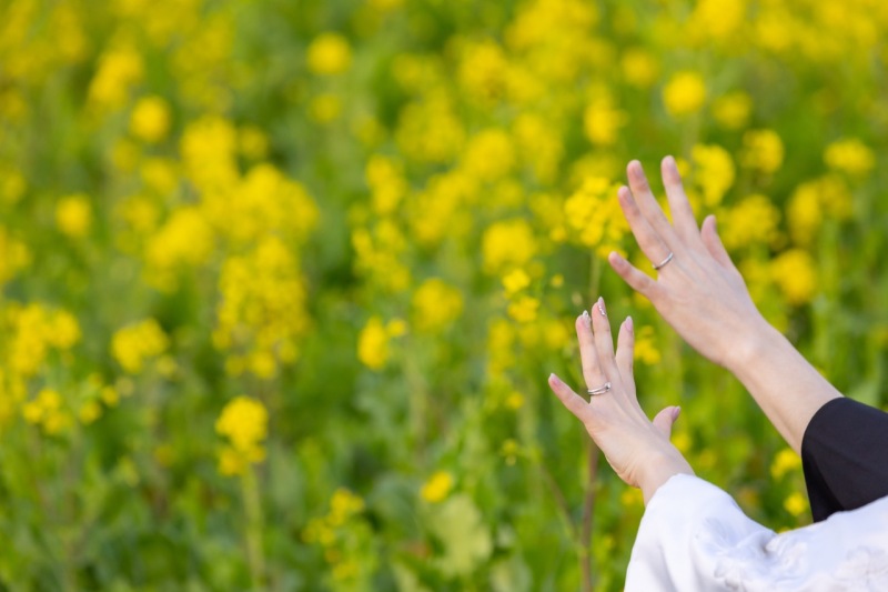 さりげない主役