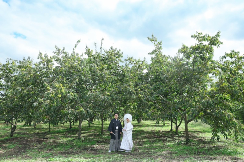 四季の恵みに見守られて