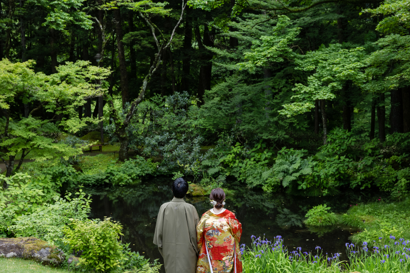池の周りには菖蒲