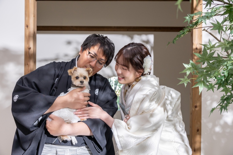 やっぱり・・・