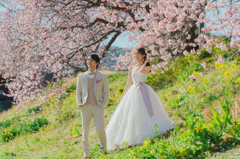 伊豆の多彩な撮影スポット