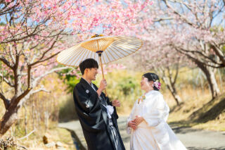 すこし早い春の光に包まれて