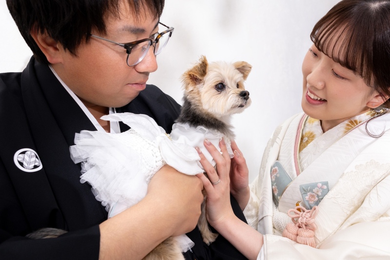 ペットちゃんのペースで