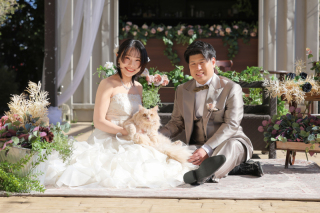 猫ちゃんと！スタジオガーデン撮影