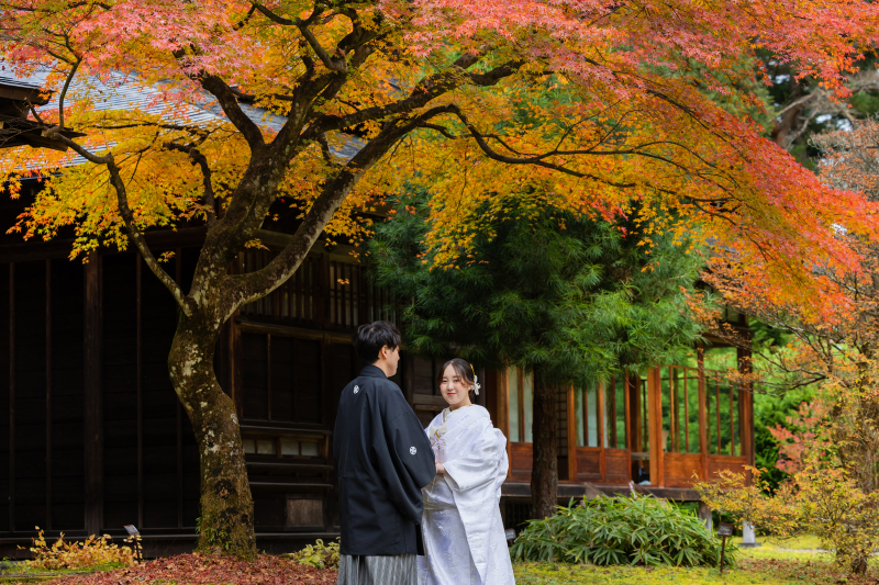 【紅葉】11月13日！日光ロケーション！