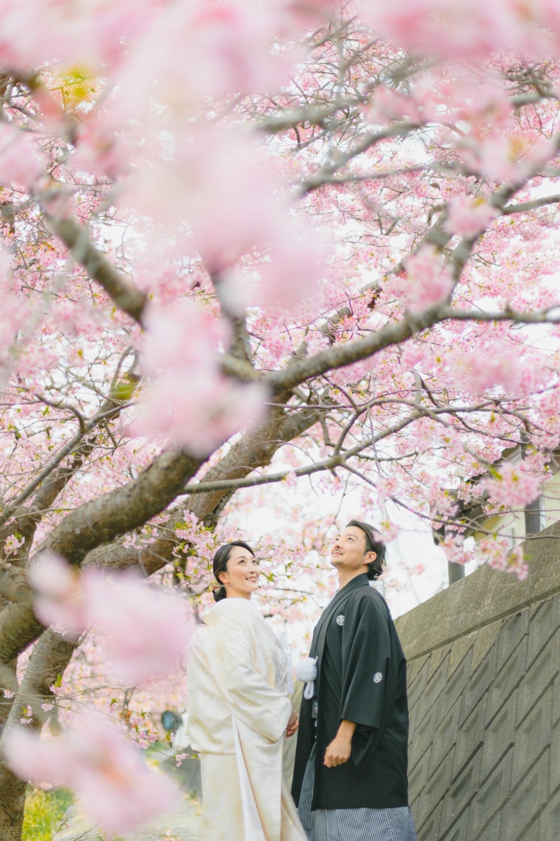 前ボケ桜フレーム