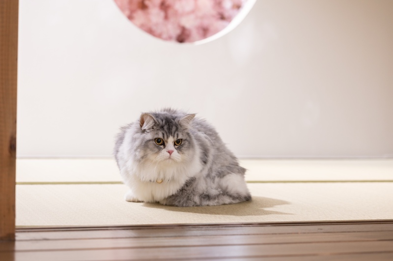 ちょっと怖くて