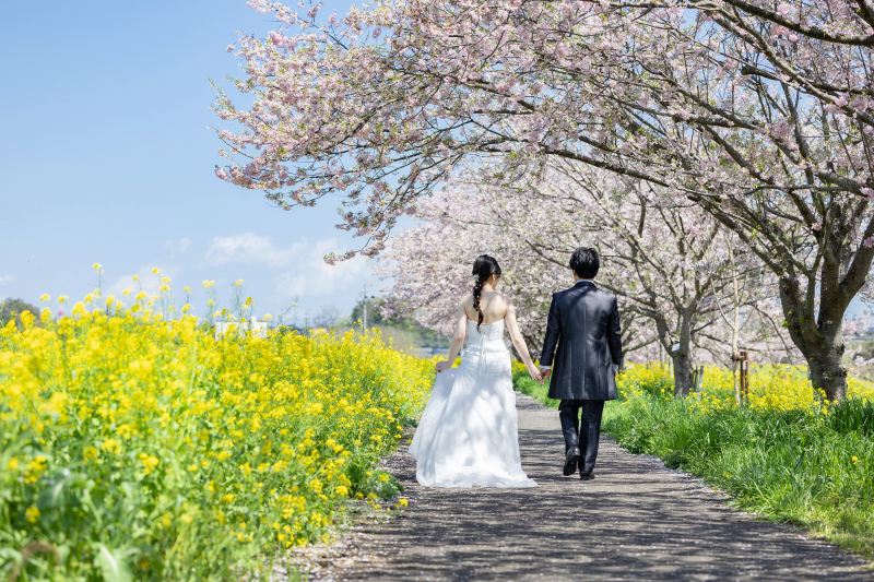 長く続く道