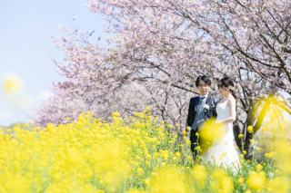 【春を感じて】桜と菜の花のロケ&times;屋内庭園スタジオ撮影