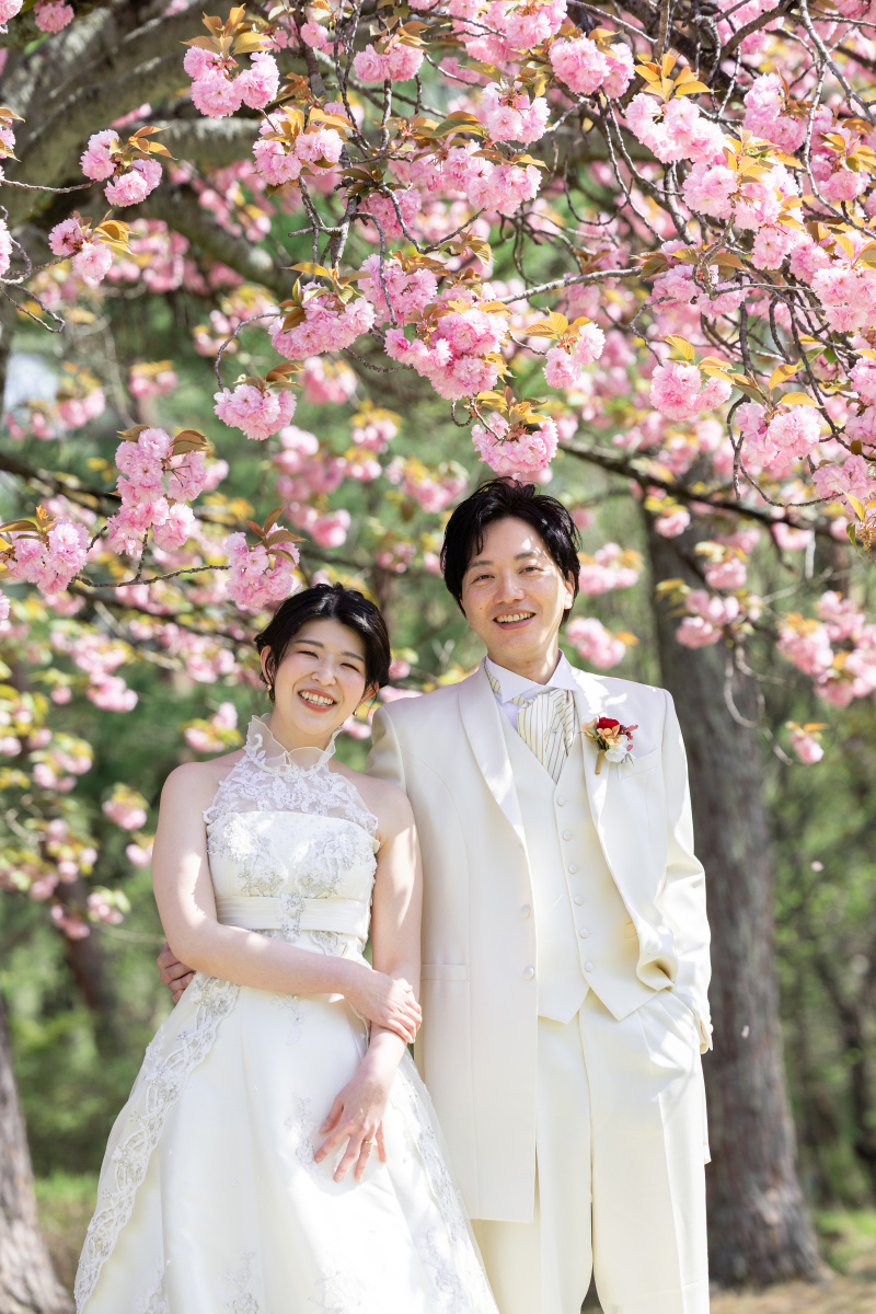 八重桜は満開!
