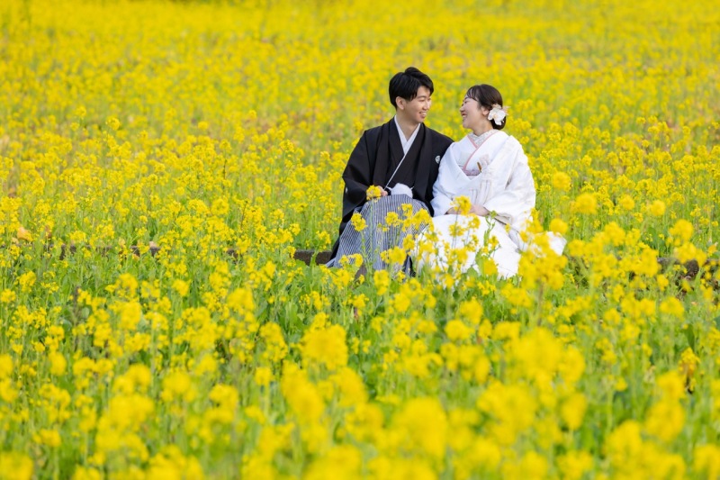 菜の花に囲まれる時間