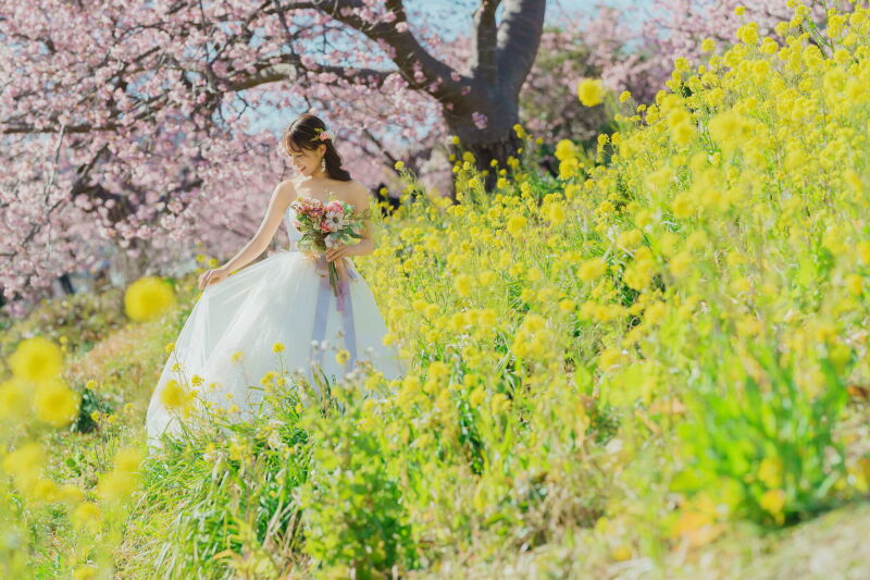 菜の花に包まれるご新婦様