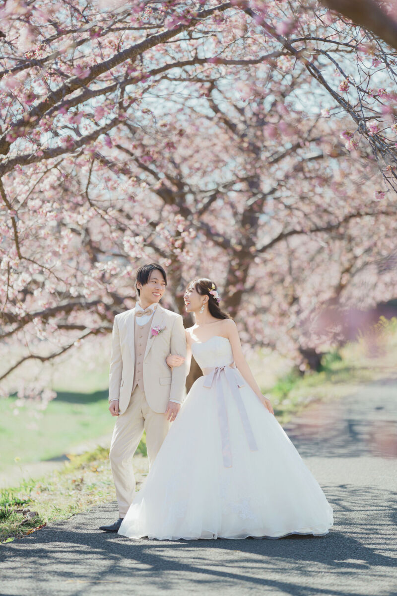 春の風に導かれて、同じ歩幅で