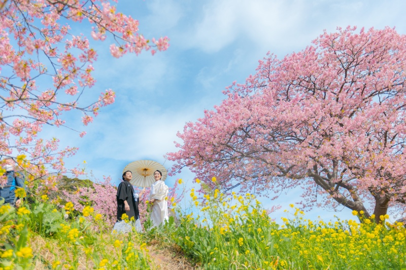青空が素敵＾＾