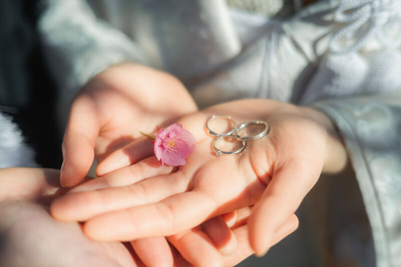 手のひらの約束