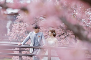 河津桜ロケーション