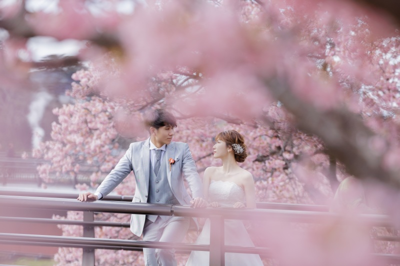 河津桜ロケーション