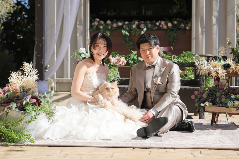 岡田　有加の作品