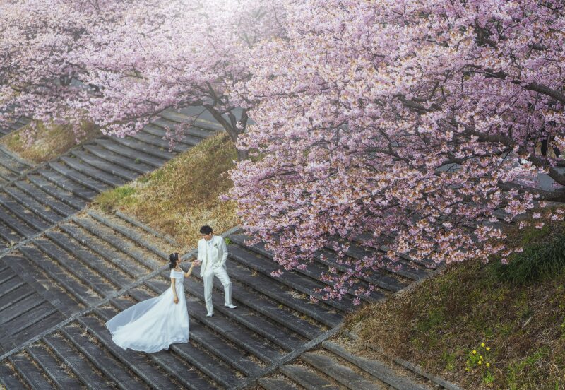 【伊豆の河津桜!プラン】伊豆河津洋装【選べる2箇所】ロケーション<300カットデータ付き>