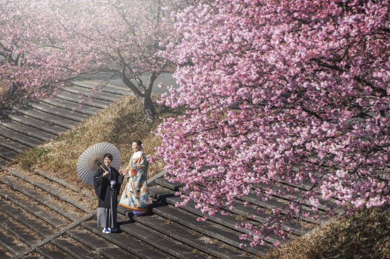 【伊豆の河津桜!プラン】伊豆河津和装ロケーション<200カットデータ付き>