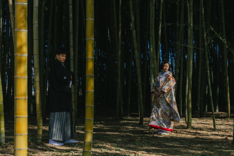 若竹の杜　若山農場ロケーション＜200カットデータ・台紙1冊付き＞