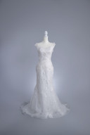 TGL13（7-11）sd-50 g