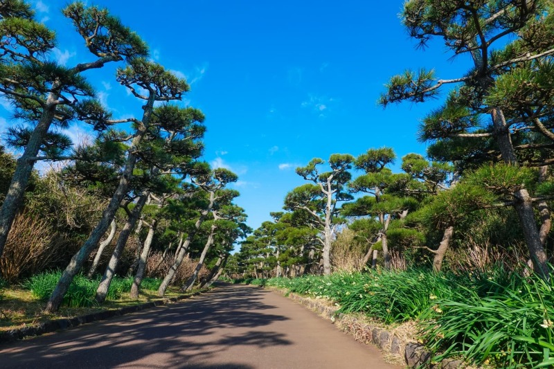 【8・9月平日撮影限定】《城ヶ島公園》洋装ロケーション ◉147,400円 衣装フリーチョイス、ショートムービー付き♪